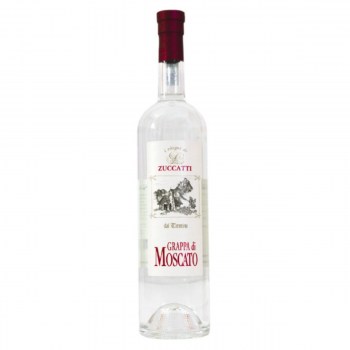 grappa moscato
